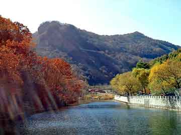 鉴黄师官网入口 观影场景 实战