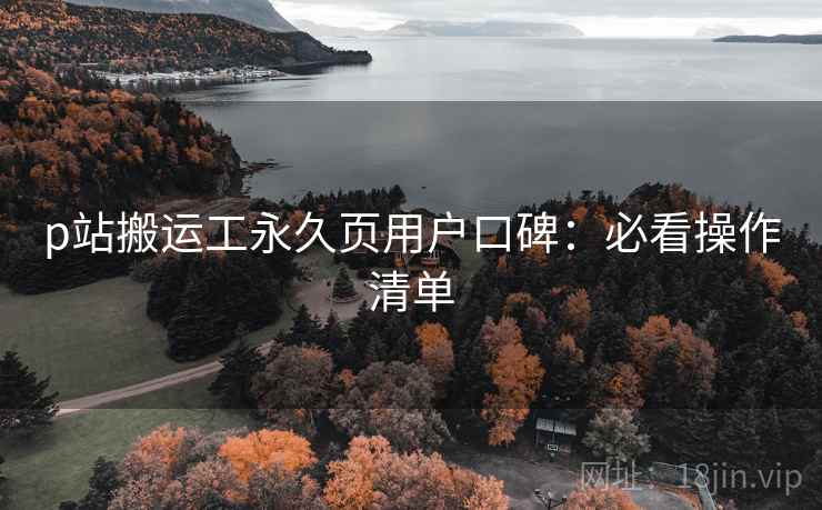 p站搬运工永久页用户口碑：必看操作清单