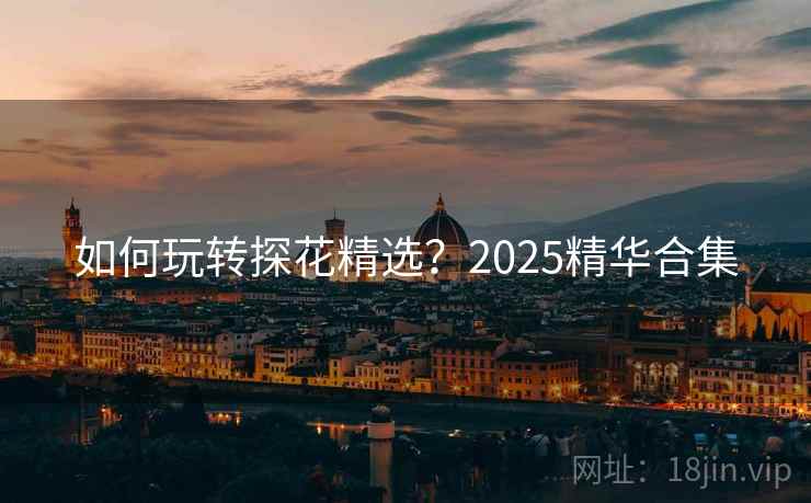 如何玩转探花精选？2025精华合集