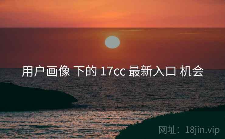 用户画像 下的 17cc 最新入口 机会