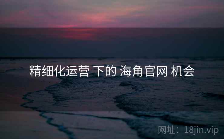 精细化运营 下的 海角官网 机会