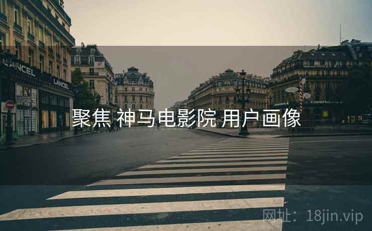 聚焦 神马电影院 用户画像