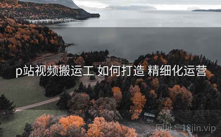 p站视频搬运工 如何打造 精细化运营