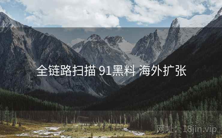 全链路扫描 91黑料 海外扩张