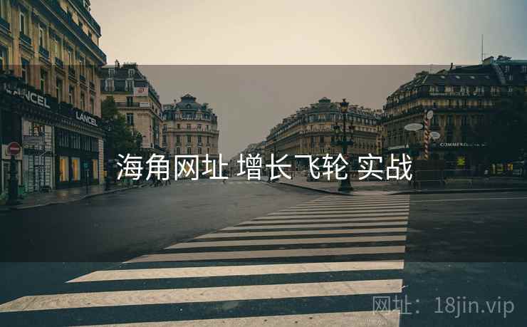 海角网址 增长飞轮 实战