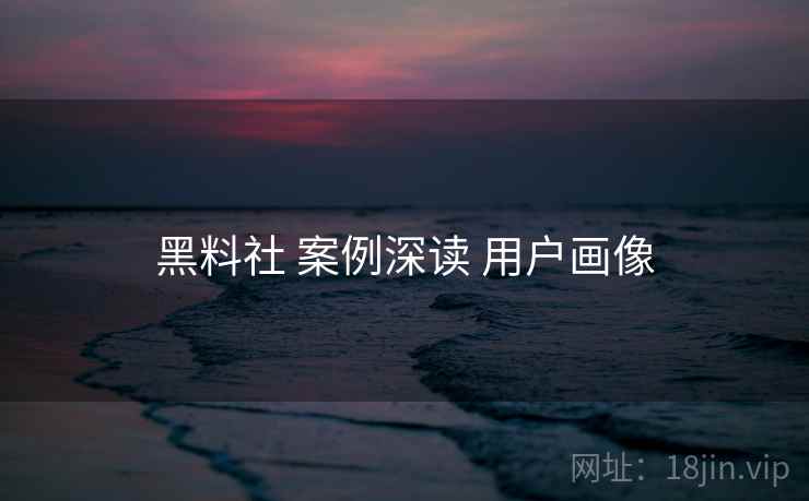 黑料社 案例深读 用户画像