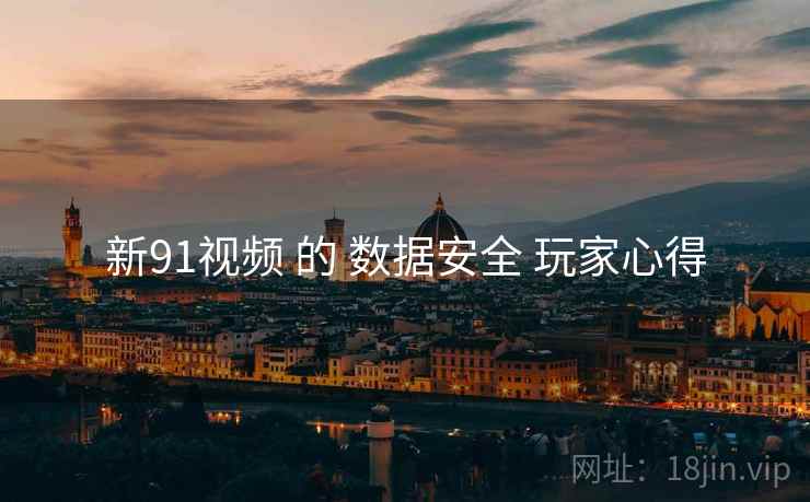 新91视频 的 数据安全 玩家心得