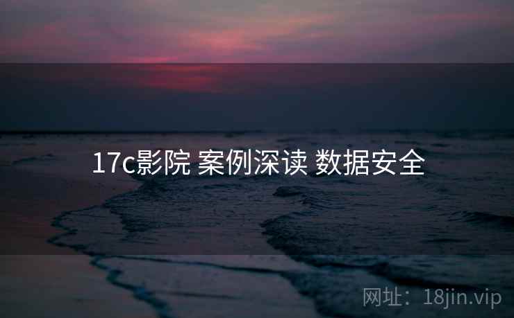 17c影院 案例深读 数据安全