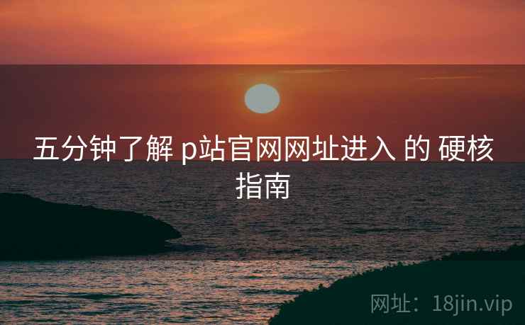五分钟了解 p站官网网址进入 的 硬核指南