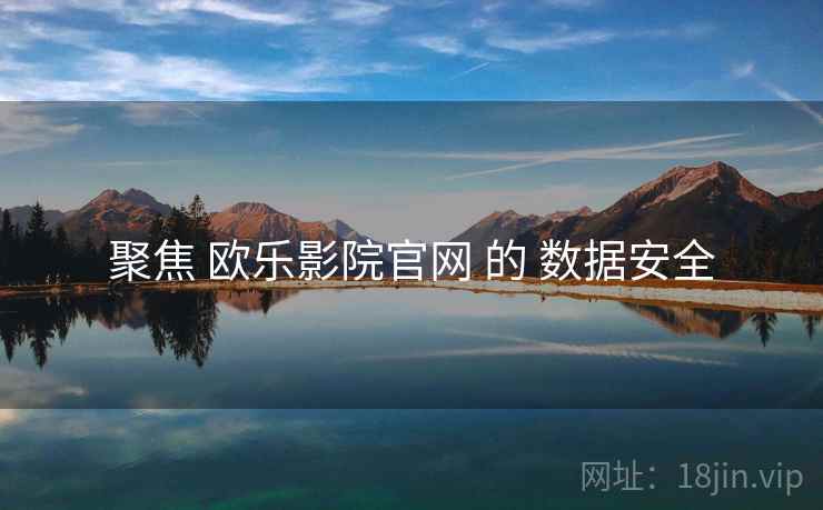 聚焦 欧乐影院官网 的 数据安全