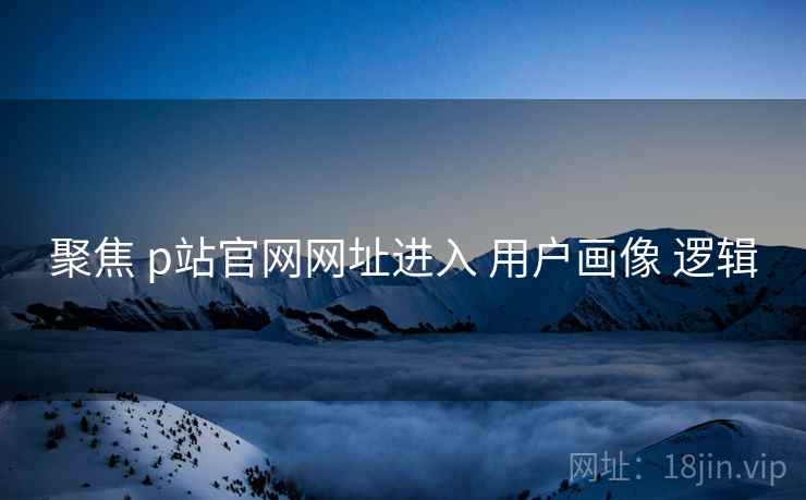 聚焦 p站官网网址进入 用户画像 逻辑
