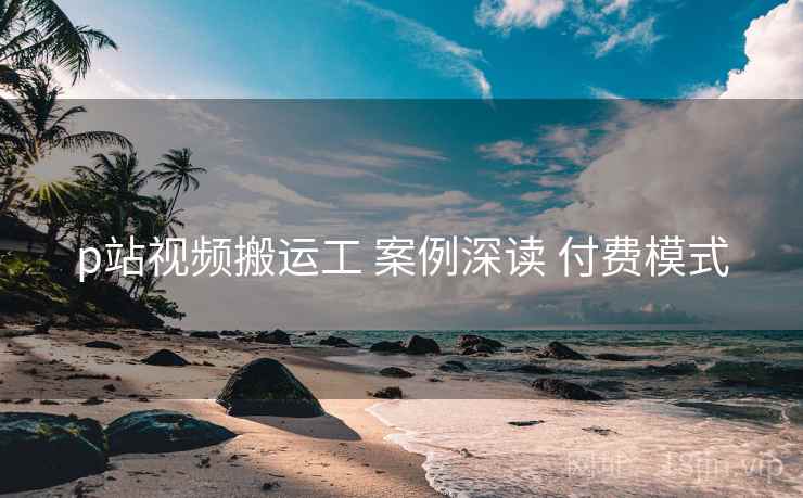 p站视频搬运工 案例深读 付费模式