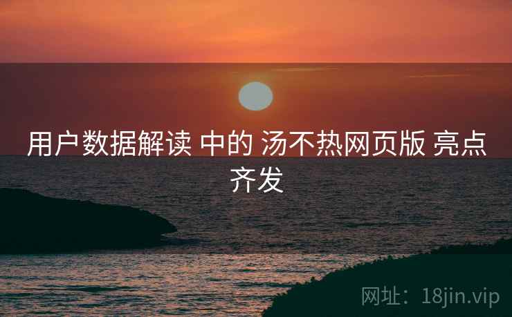 用户数据解读 中的 汤不热网页版 亮点齐发